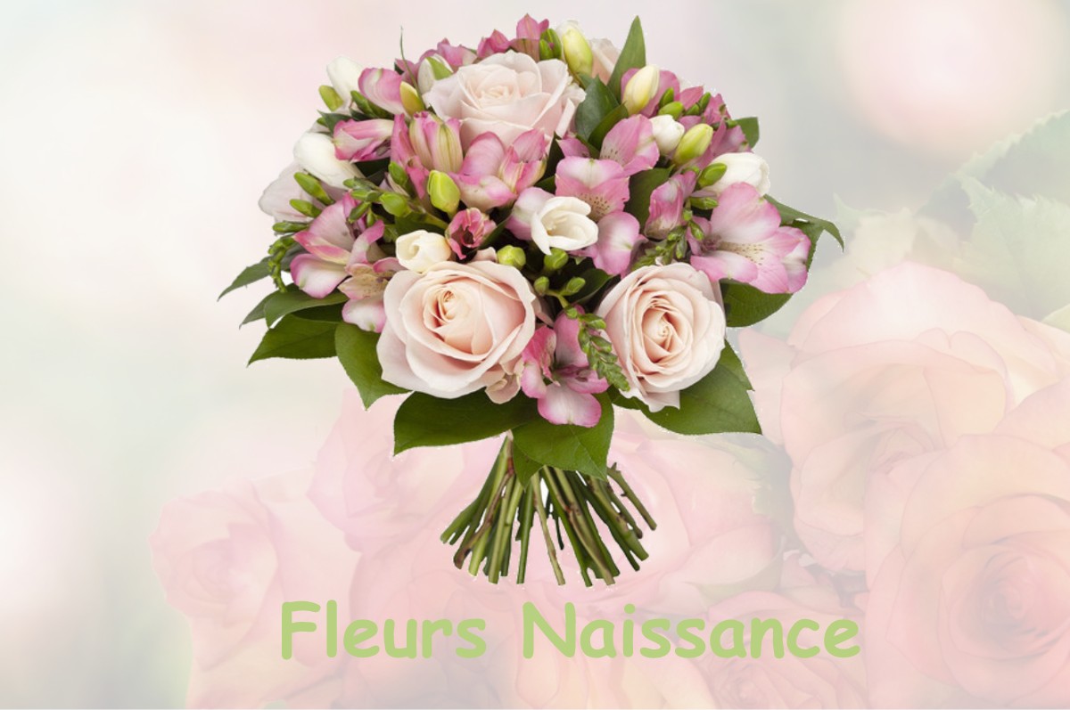 fleurs naissance GISSEY-SOUS-FLAVIGNY